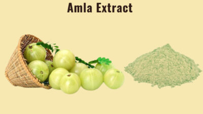 Amla Extract