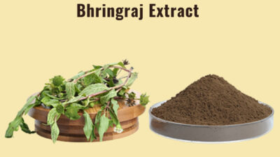 Bhringraj Extract