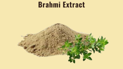 Brahmi Extract