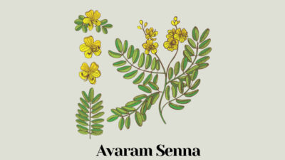 Avaram Senna