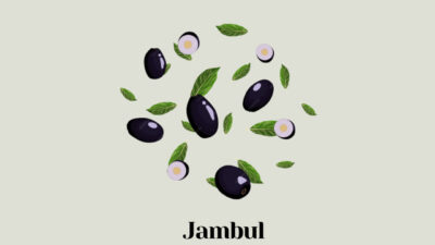 Jambul