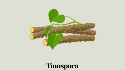 Tinospora