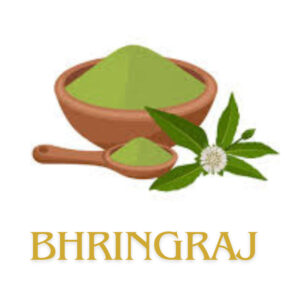 Bhringraj herbs for Strong liver health