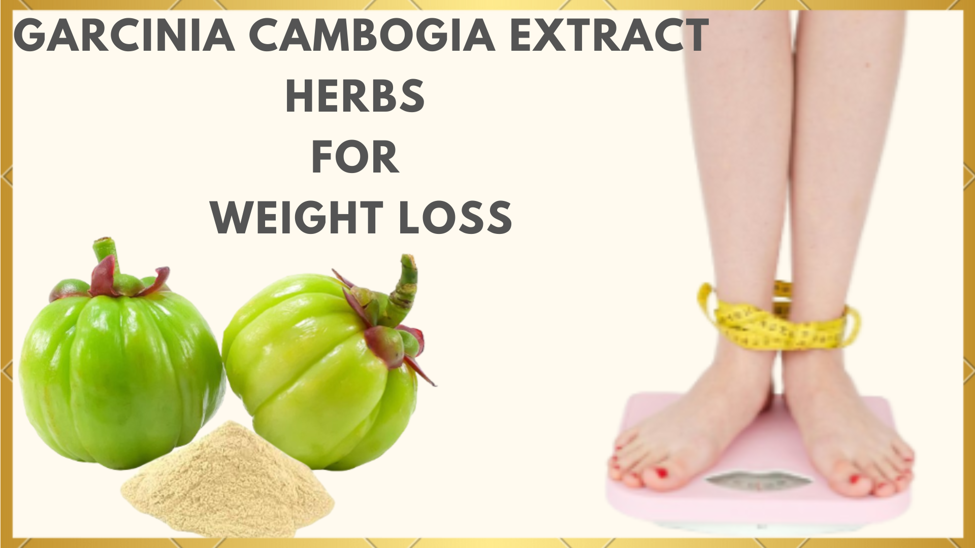 Garcinia Cambogia Extract Herbs For