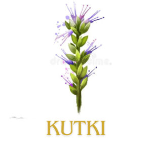 Kutki herbs for Strong liver health