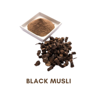 black Musli Ayurvedic Herbs For Fast Weight Gain