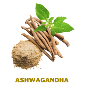 Ashwagandha  Ayurvedic Herbs To Manage Stress