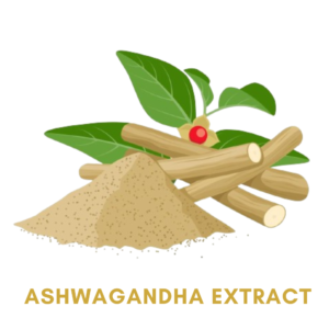 Ashwagandha Extract Ayurvedic Herbs For Fast Weight Gain