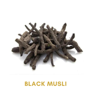 Black Musli Shatavari Extract Ashwagandha Extract Ayurvedic Herbs For Fast Weight Gain
