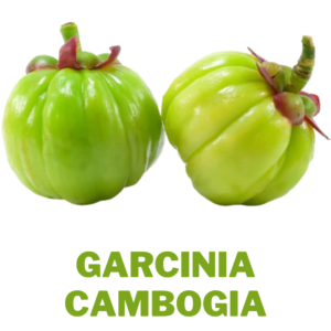 Garcinia Cambogia Extract Herbs For Weight Loss