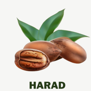 Harad Ayurvedic herbs for gastrointestinal disease used in pachan